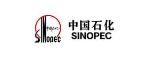 东升国际官网-相信品牌力量